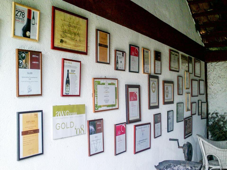 Quinta Da Fata Villa Nelas Ngoại thất bức ảnh
