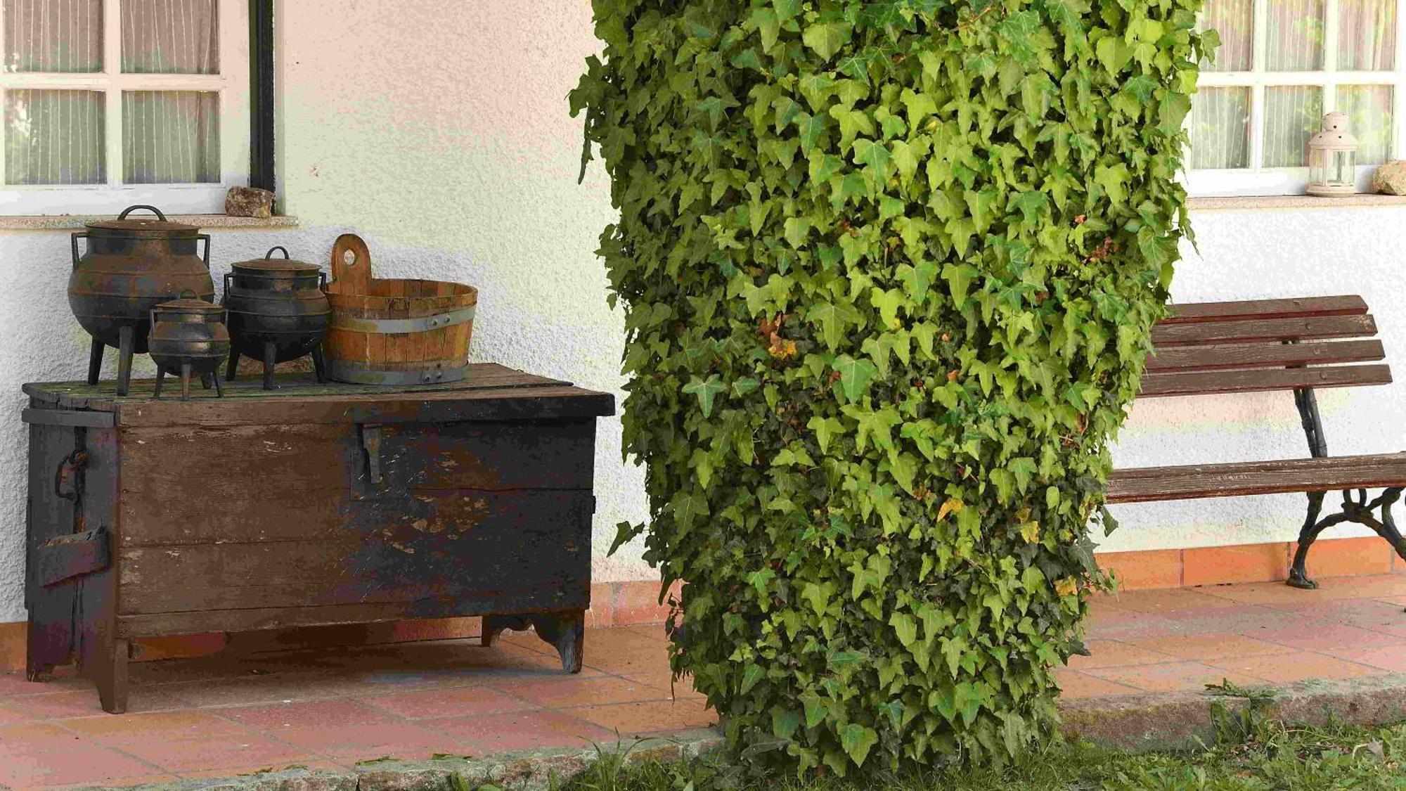 Quinta Da Fata Villa Nelas Ngoại thất bức ảnh