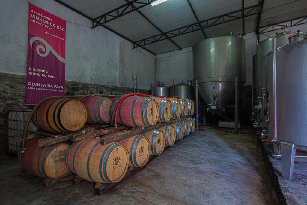 Quinta Da Fata Villa Nelas Ngoại thất bức ảnh