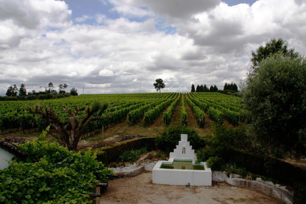 Quinta Da Fata Villa Nelas Ngoại thất bức ảnh